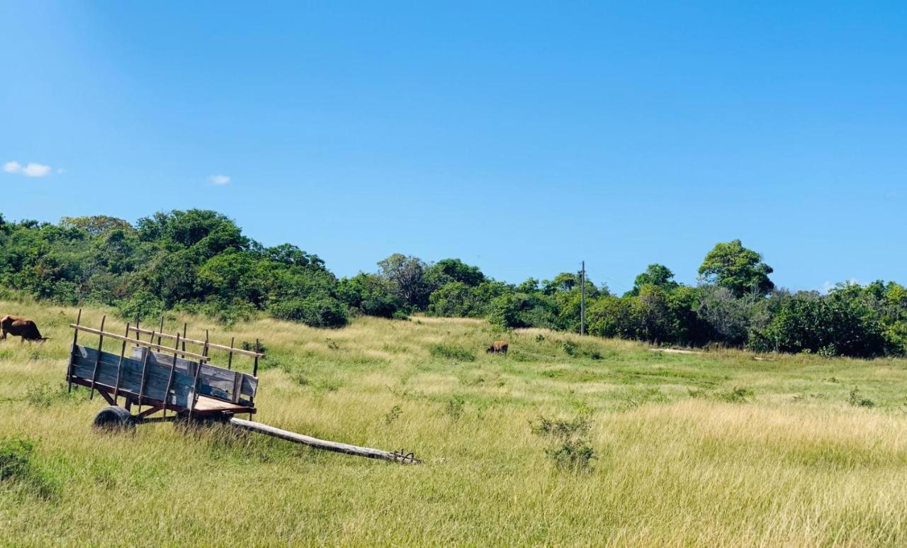 Les Palmes Du Moulin Villa แซงต์หลุยส์ ภายนอก รูปภาพ