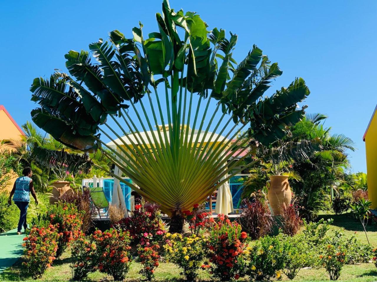 Les Palmes Du Moulin Villa แซงต์หลุยส์ ภายนอก รูปภาพ