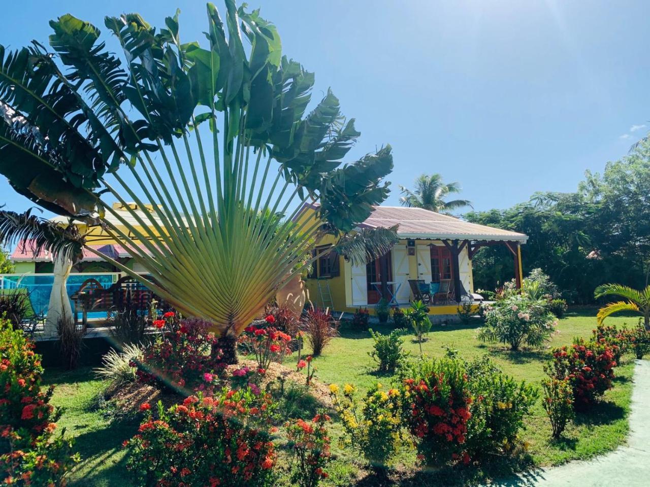 Les Palmes Du Moulin Villa แซงต์หลุยส์ ภายนอก รูปภาพ