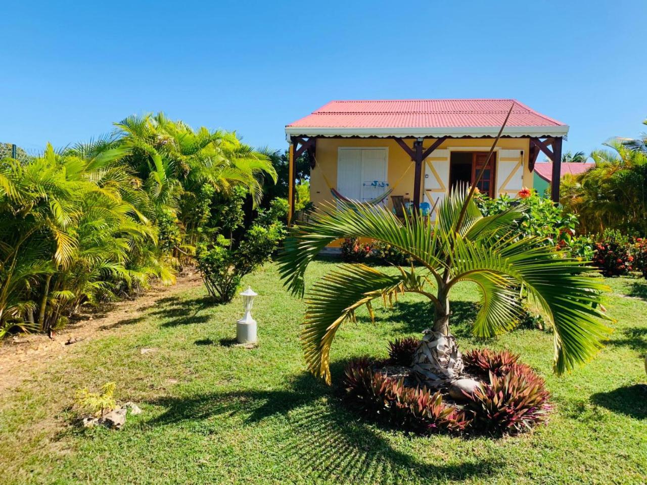 Les Palmes Du Moulin Villa แซงต์หลุยส์ ภายนอก รูปภาพ