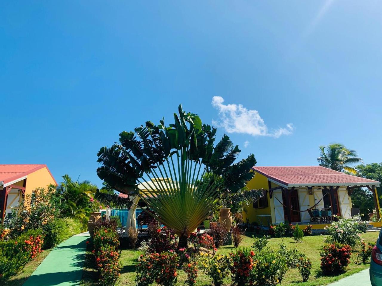 Les Palmes Du Moulin Villa แซงต์หลุยส์ ภายนอก รูปภาพ