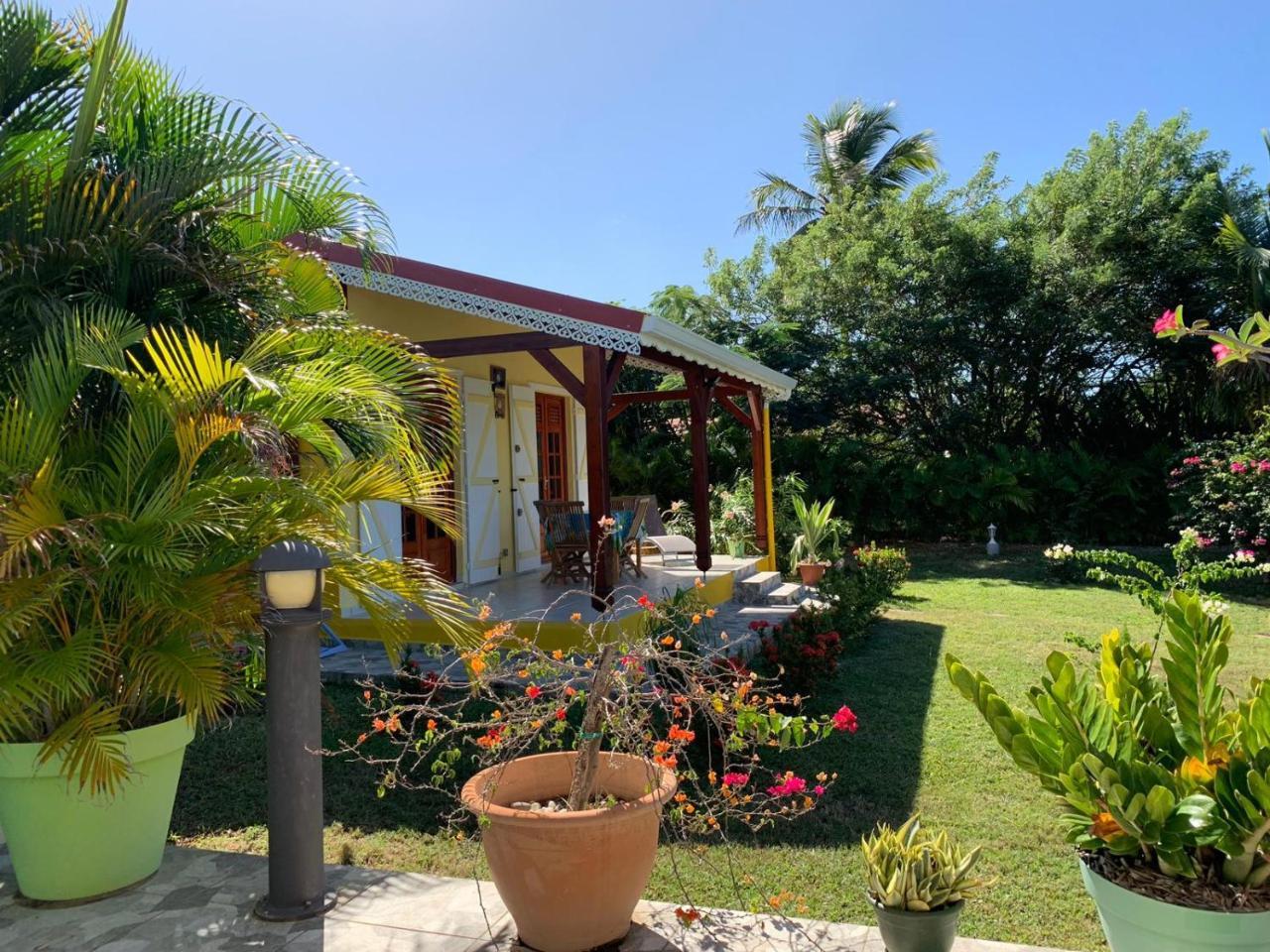 Les Palmes Du Moulin Villa แซงต์หลุยส์ ภายนอก รูปภาพ