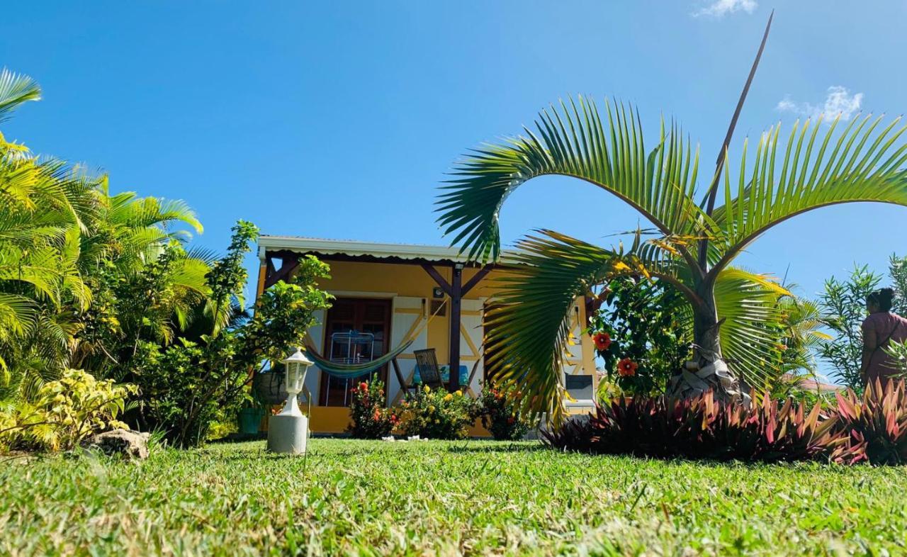 Les Palmes Du Moulin Villa แซงต์หลุยส์ ภายนอก รูปภาพ